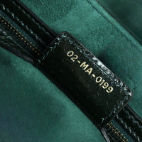 Dior Saddle Bag Python
