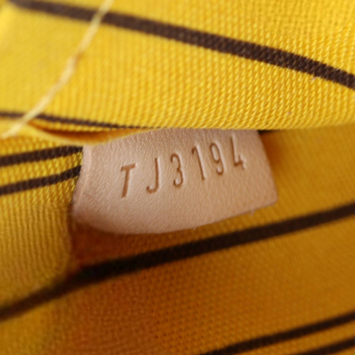 Louis Vuitton Neverfull Pochette Monogram