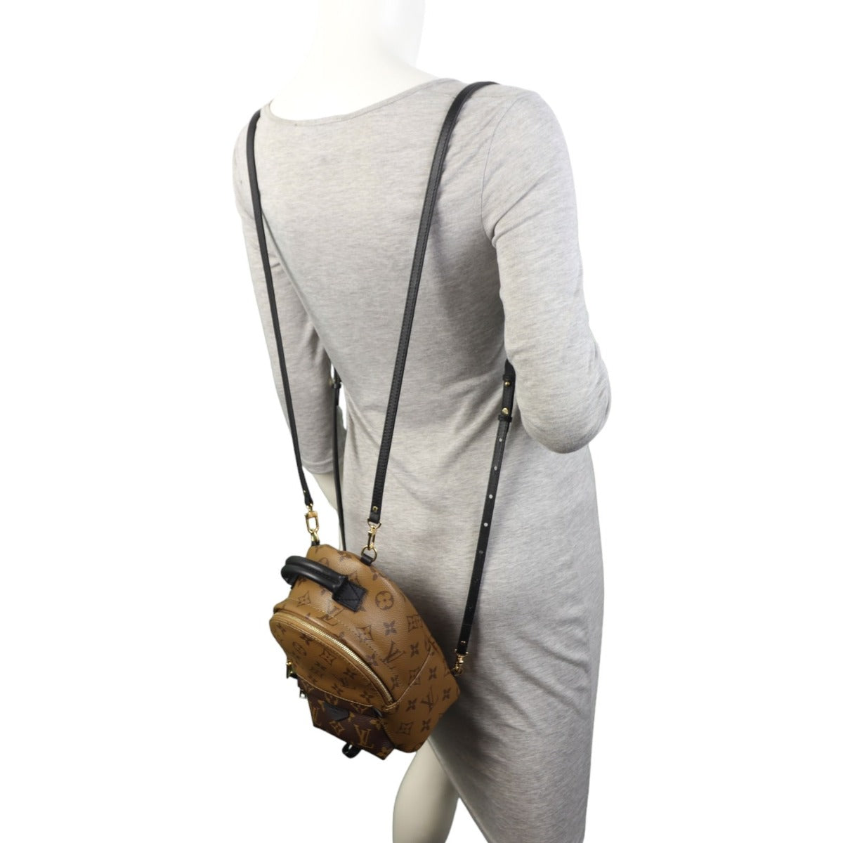 Louis Vuitton Palm Springs Mini Backpack Monogram Reverse