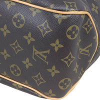 Louis Vuitton Delightful PM Monogram