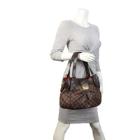 Louis Vuitton Sistina PM Damier Ebene