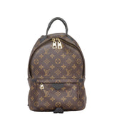 Louis Vuitton Palm Springs Backpack PM Monogram
