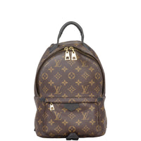 Louis Vuitton Palm Springs Backpack PM Monogram