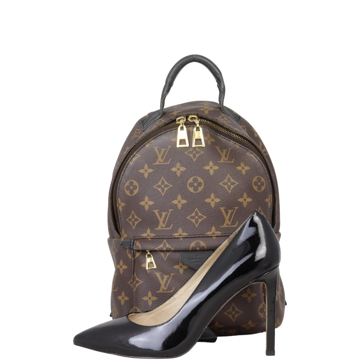 Louis Vuitton Palm Springs Backpack PM Monogram