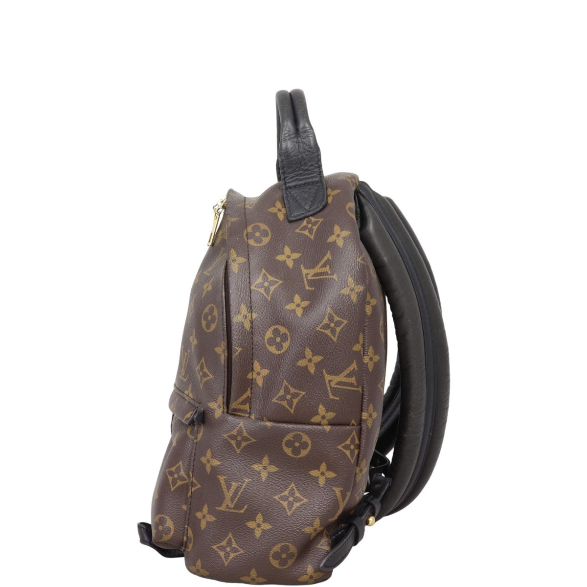 Louis Vuitton Palm Springs Backpack PM Monogram