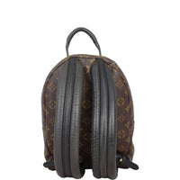 Louis Vuitton Palm Springs Backpack PM Monogram