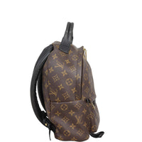 Louis Vuitton Palm Springs Backpack PM Monogram