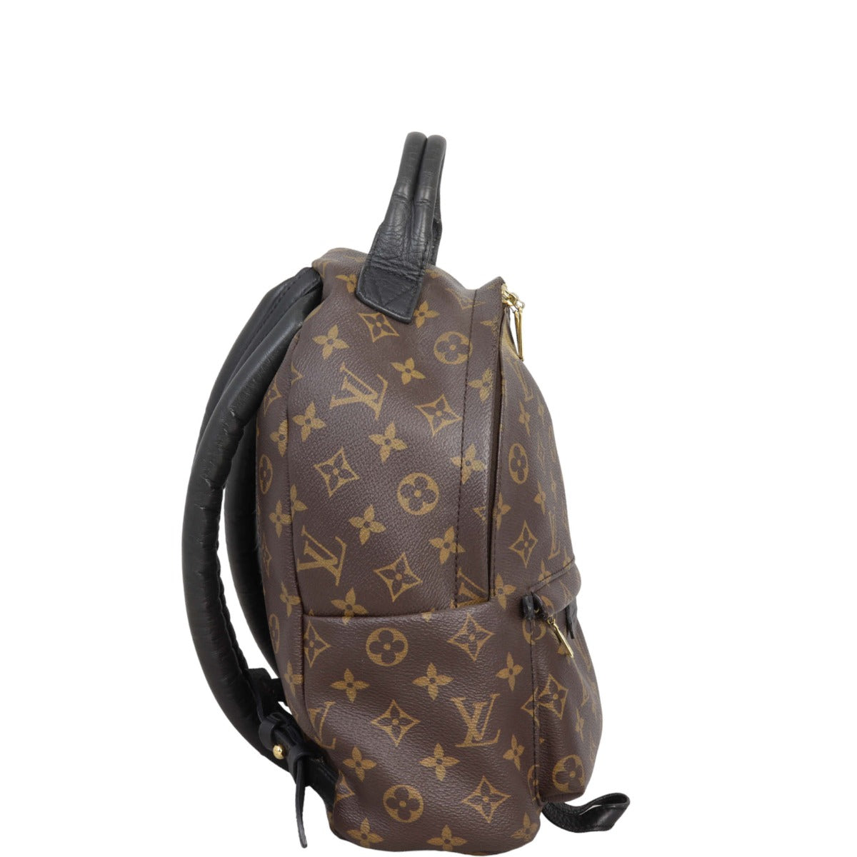 Louis Vuitton Palm Springs Backpack PM Monogram