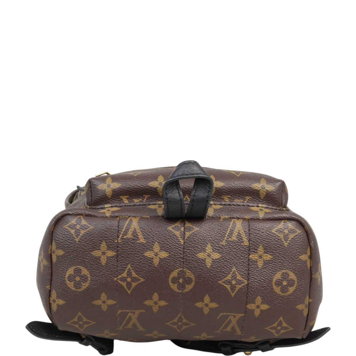 Louis Vuitton Palm Springs Backpack PM Monogram