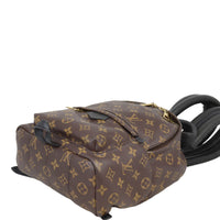 Louis Vuitton Palm Springs Backpack PM Monogram
