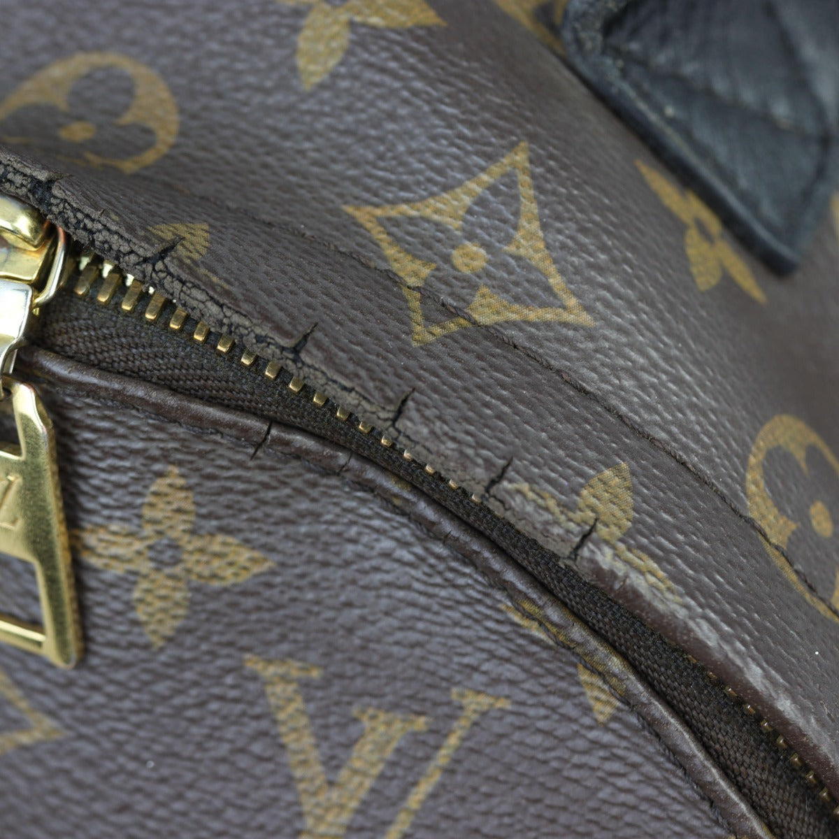 Louis Vuitton Palm Springs Backpack PM Monogram