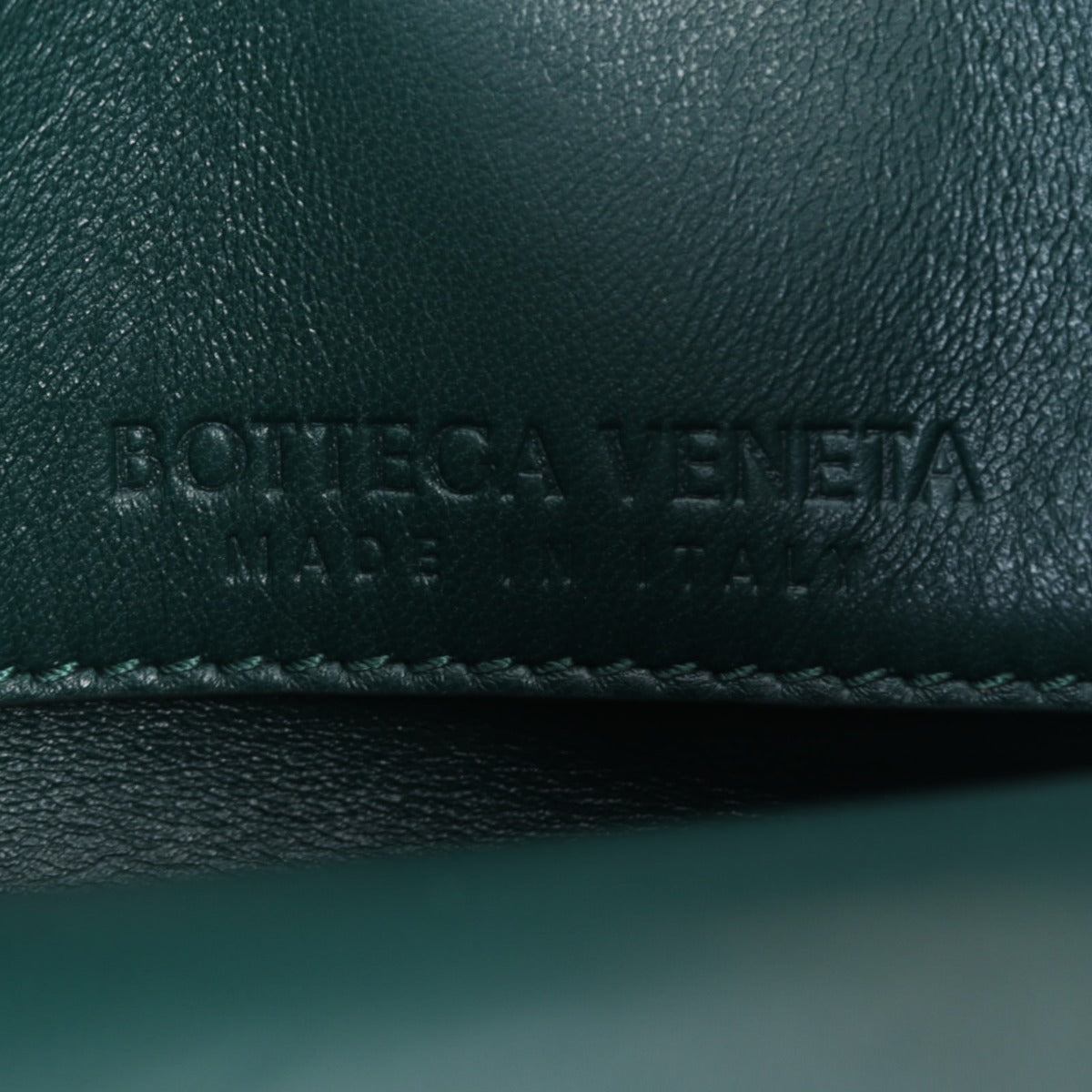 Bottega Veneta Mount Suede Bag