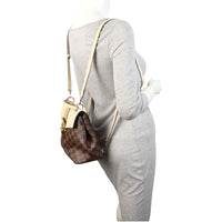 Louis Vuitton Clapton Backpack Damier Ebene