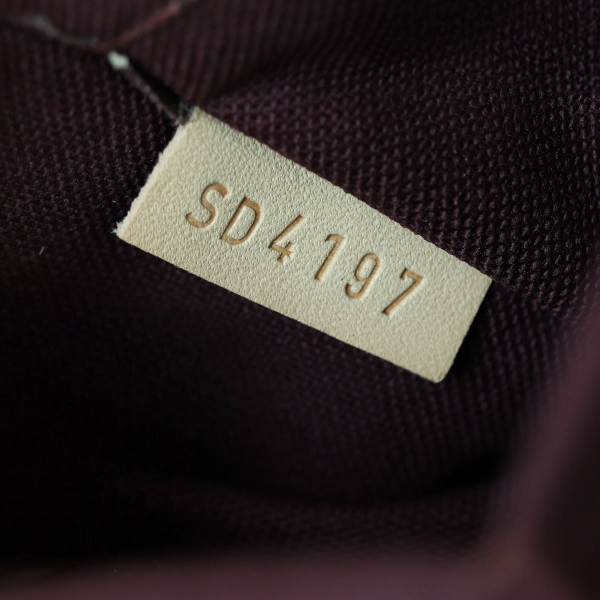 Louis Vuitton Iena MM Monogram