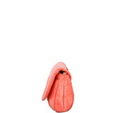 Chanel Timeless Half Moon Flap Bag