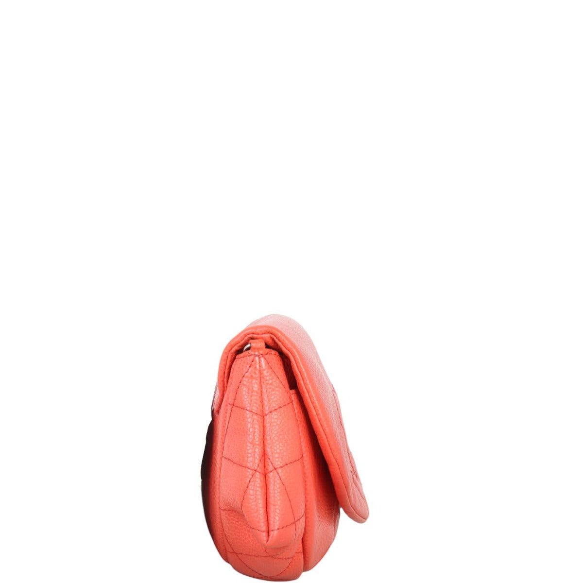 Chanel Timeless Half Moon Flap Bag