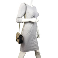 Gucci GG Canvas Marmont Diagonal Small Shoulder Bag