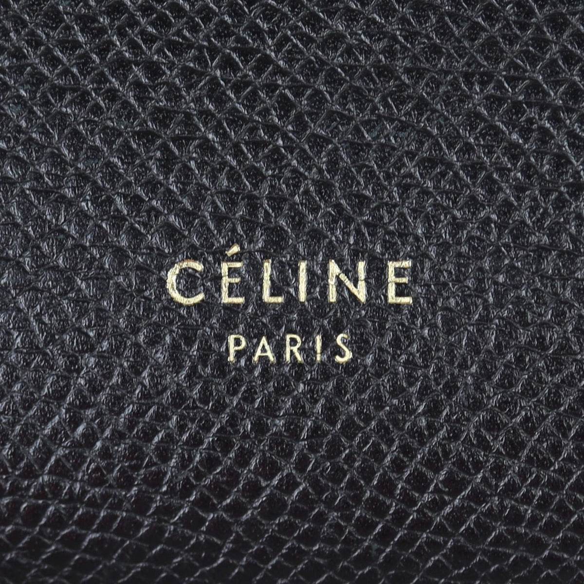 Celine Belt Bag Pico Hardware