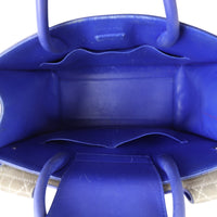 Dior Diorever Medium Satchel