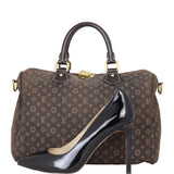 Louis Vuitton Speedy 30 Bandouliere Mini Lin