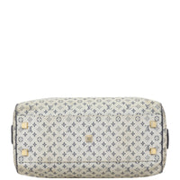 Louis Vuitton Josephine GM Mini Lin