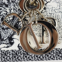 Dior Lady D-Lite Medium Toile de Jouy Zodiac Hardware