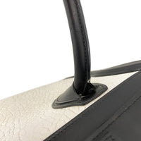 Celine Mini Luggage Tote Handle Wear