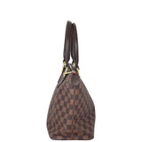 Louis Vuitton Saleya PM Damier Ebene