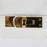 Hermes Birkin 25 Togo Hardware