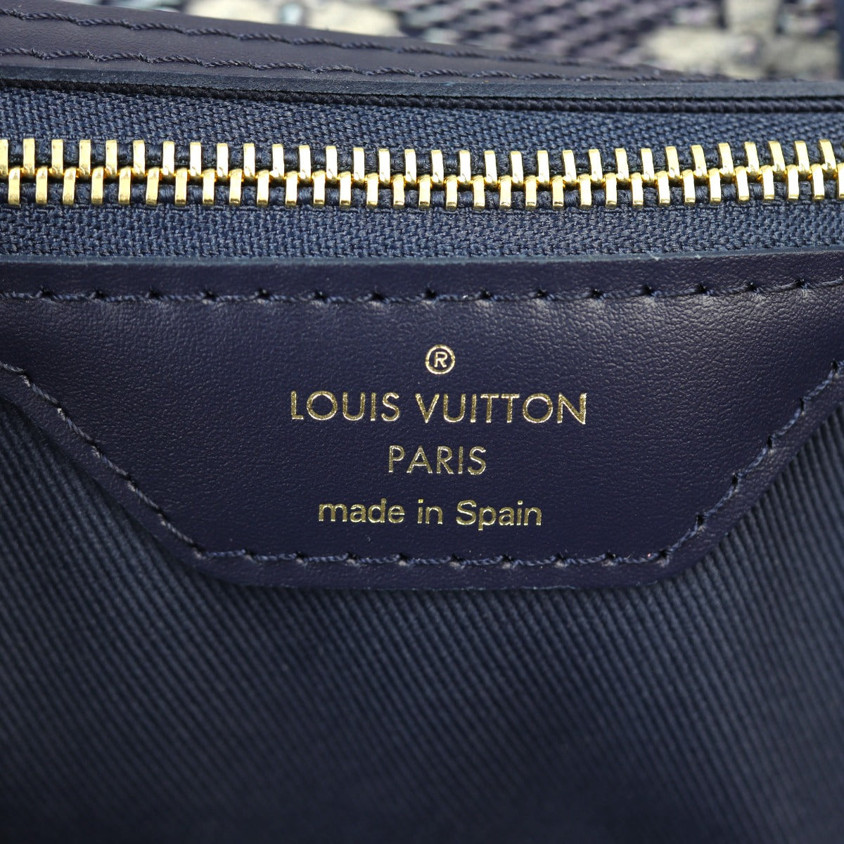 Louis Vuitton Neverfull MM Monoglam
