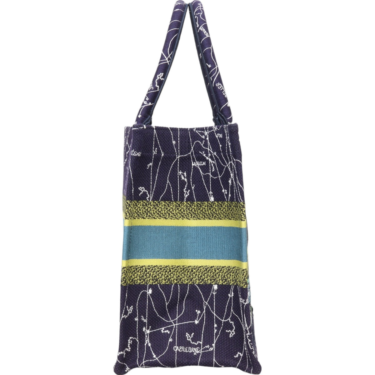 Dior Book Tote Medium Constellation