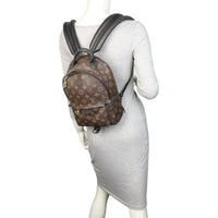 Louis Vuitton Palm Springs Backpack PM Monogram