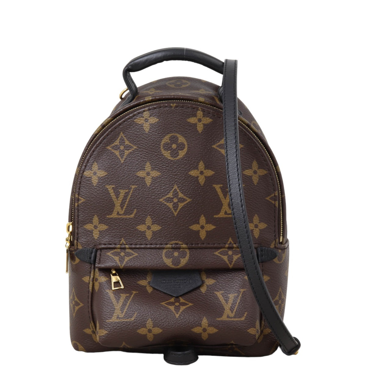 Louis Vuitton Palm Springs Mini Backpack Monogram