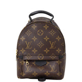 Louis Vuitton Palm Springs Mini Backpack Monogram