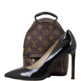 Louis Vuitton Palm Springs Mini Backpack Monogram
