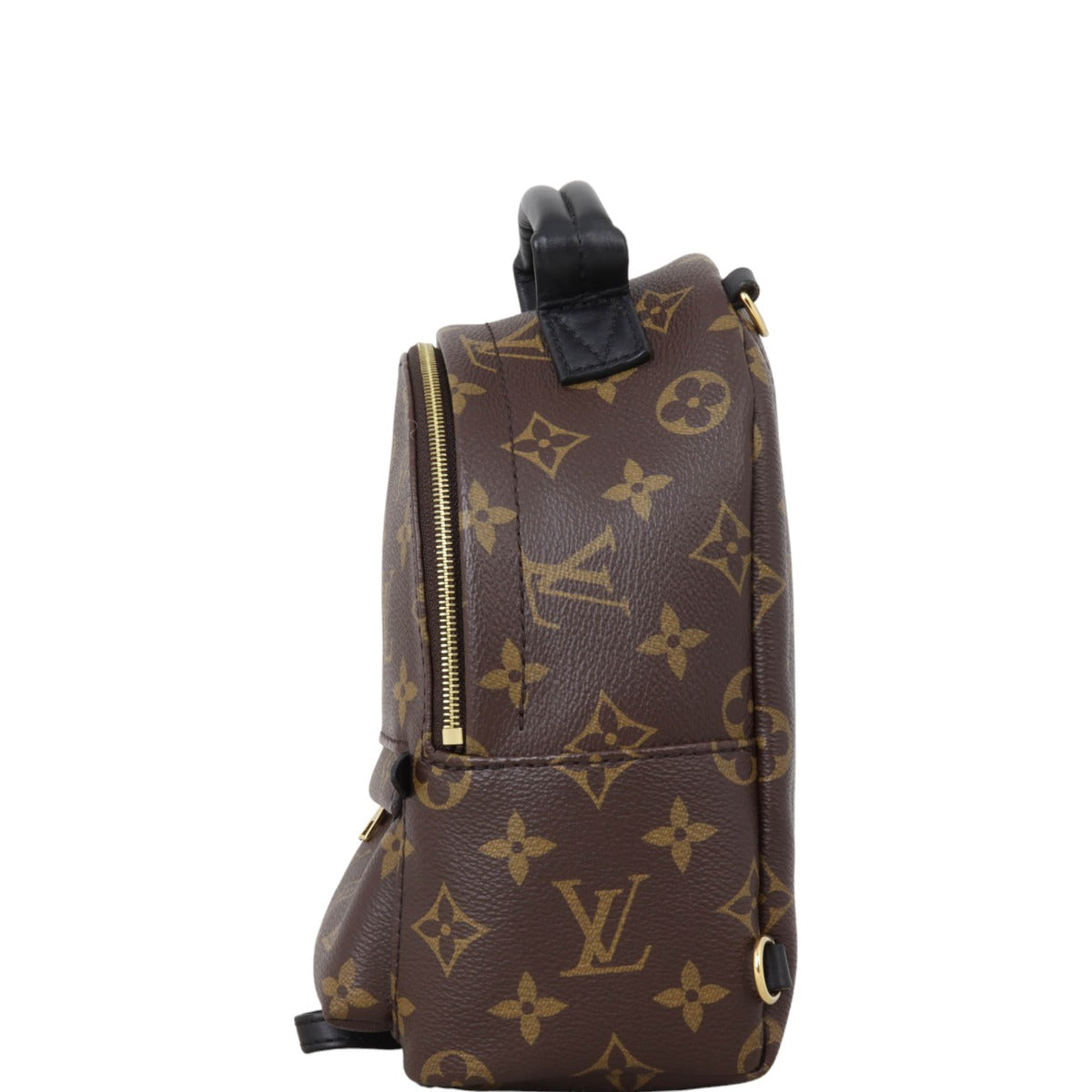 Louis Vuitton Palm Springs Mini Backpack Monogram