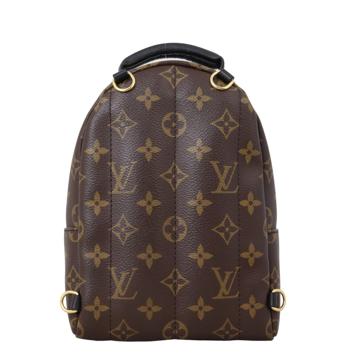 Louis Vuitton Palm Springs Mini Backpack Monogram