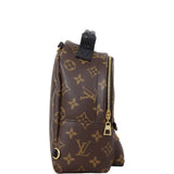 Louis Vuitton Palm Springs Mini Backpack Monogram