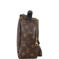 Louis Vuitton Palm Springs Mini Backpack Monogram