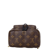Louis Vuitton Palm Springs Mini Backpack Monogram