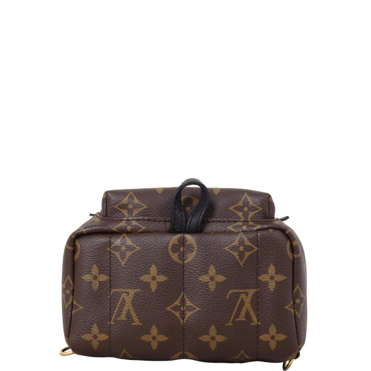 Louis Vuitton Palm Springs Mini Backpack Monogram