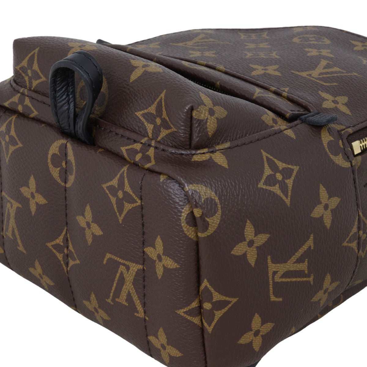 Louis Vuitton Palm Springs Mini Backpack Monogram