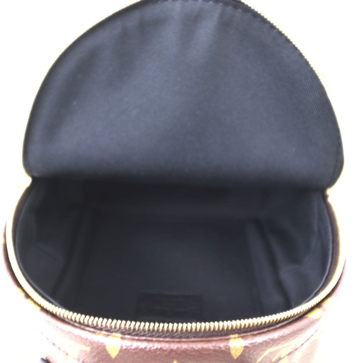 Louis Vuitton Palm Springs Mini Backpack Monogram