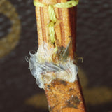 Louis Vuitton Neverfull GM Monogram Wear