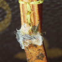 Louis Vuitton Neverfull GM Monogram Wear