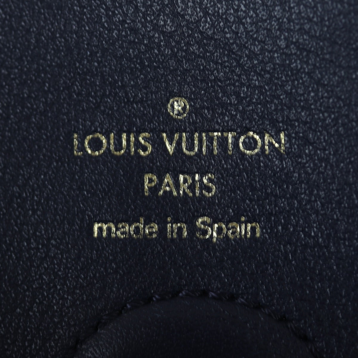 Louis Vuitton Tuileries Hobo Monogram with Strap