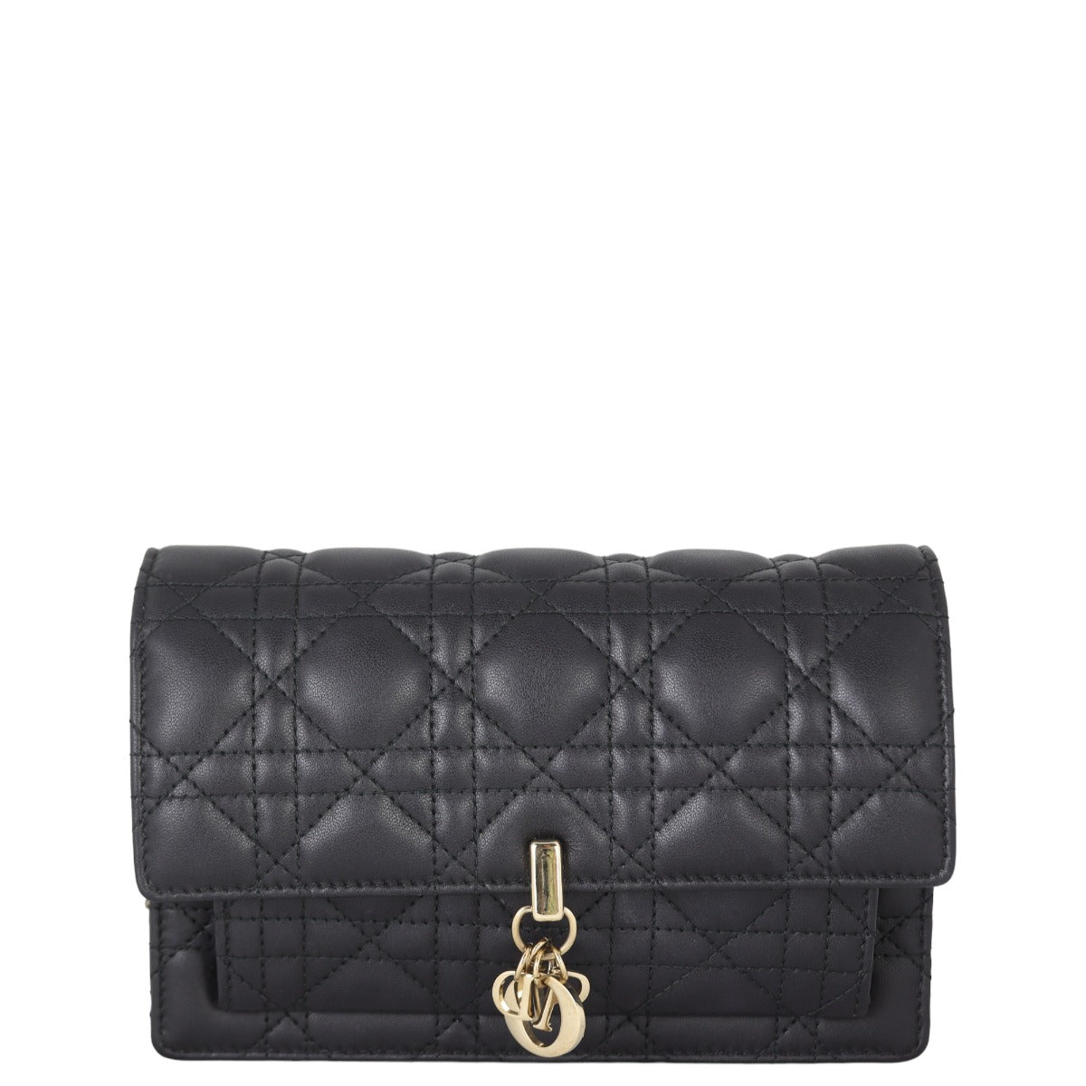 Dior My Dior Daily Chain Pouch