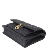 Dior My Dior Daily Chain Pouch