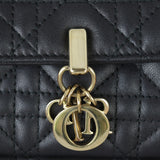 Dior My Dior Daily Chain Pouch