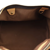 Louis Vuitton Speedy 30 Monogram